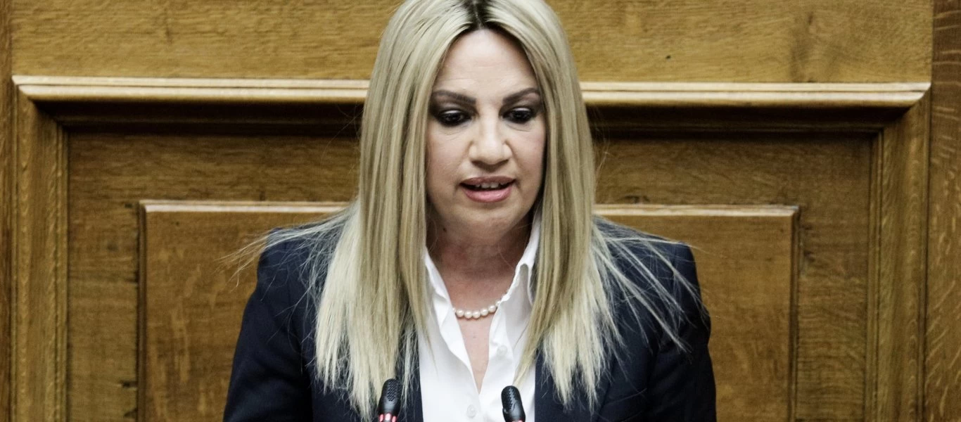 Φ.Γεννηματά: «Η ΝΔ θέλει να μετατρέψει το ΕΣΥ σε ένα απαξιωμένο φθηνό προνοιακό σύστημα»